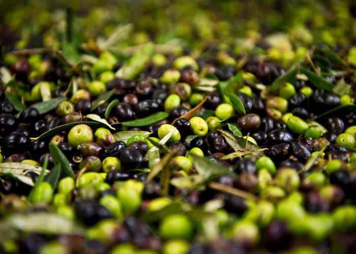 olio extravergine di oliva prezzi