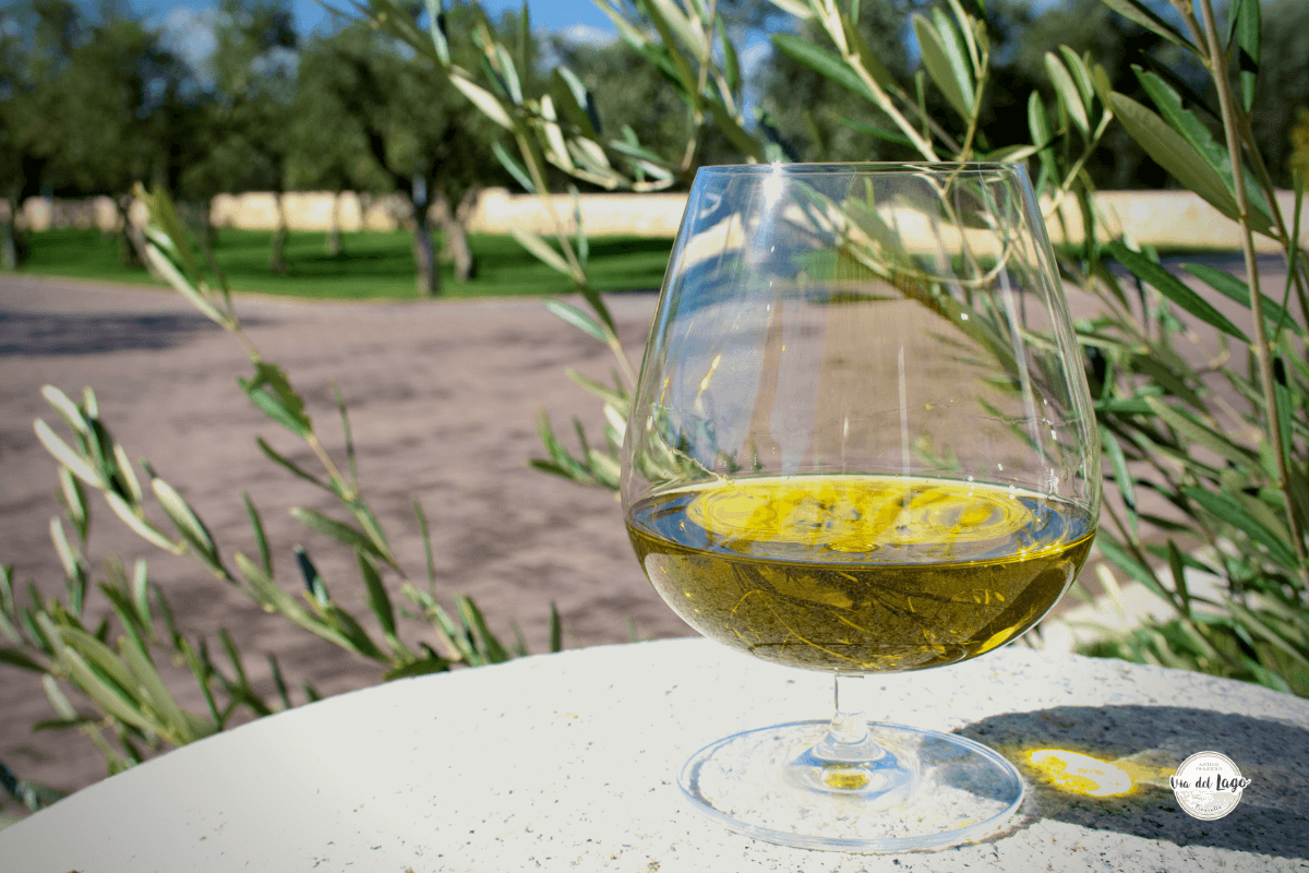 olio extravergine pugliese